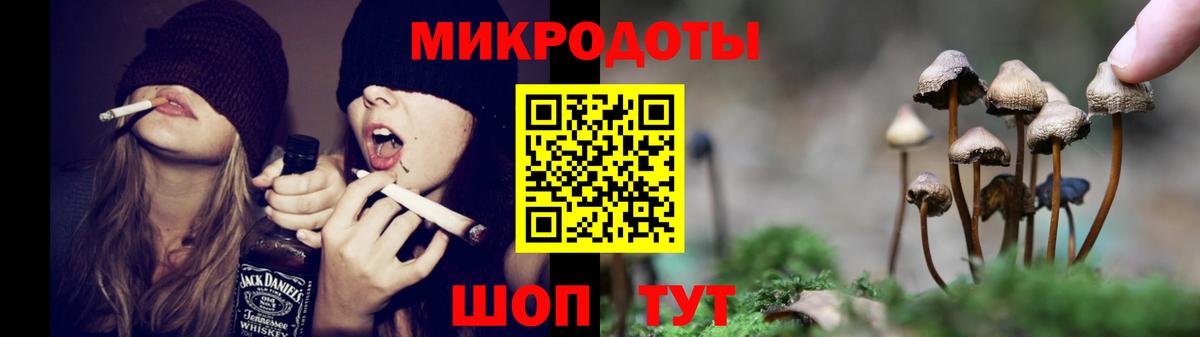 Галлюциногенные грибы GOLDEN TEACHER  Вход с VPN  цены   Ярославль  Псилоцибиновые грибы MAGIC MUSHROOMS 